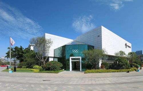 廈門城市職業(yè)學院商貿系學生黨支部走進廈門奧林匹克博物館開展主題教育活動